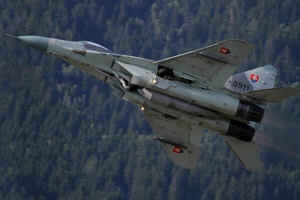 Le chasseur polyvalent MIG-29 survole la forêt