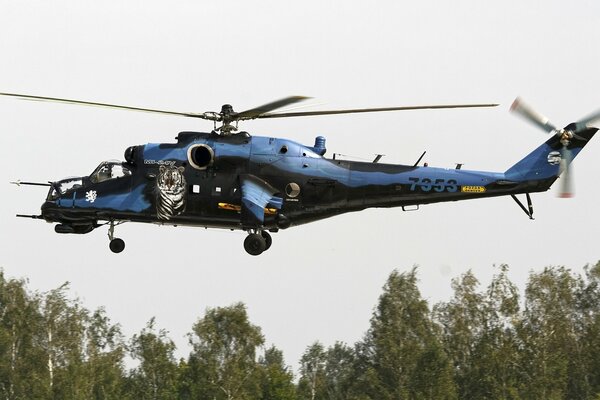 Un avion de combat de transport protège son territoire