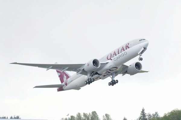 Gray Boeing takes off into the gray sky