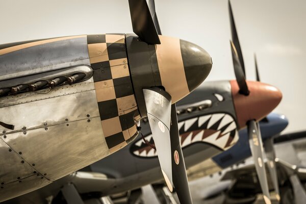 There are beautiful fighters with powerful propellers at the airfield