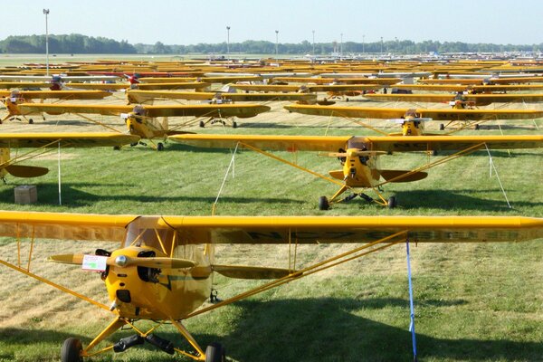 Sur le plan de terrain dans une rangée sont des avions