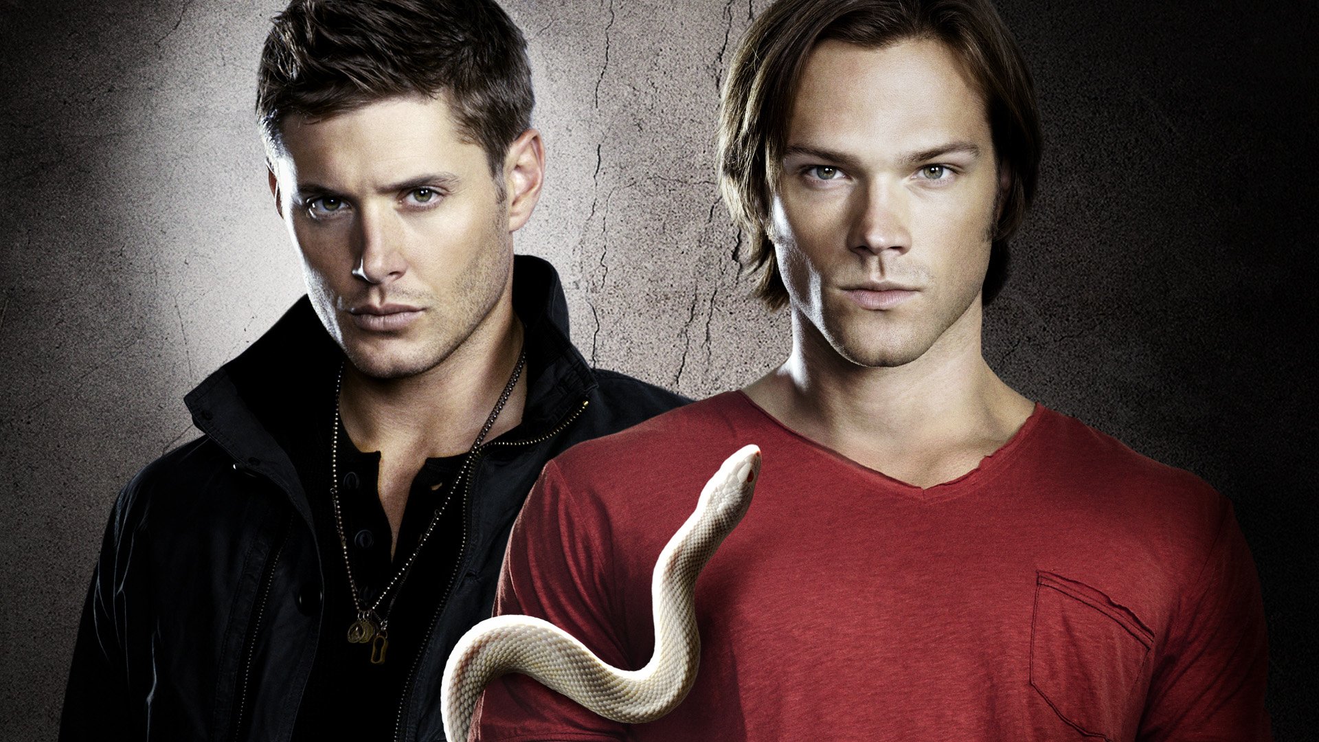 upernatural dean sam winchester brothers tv series snake jensen ackles jared padalecki j2