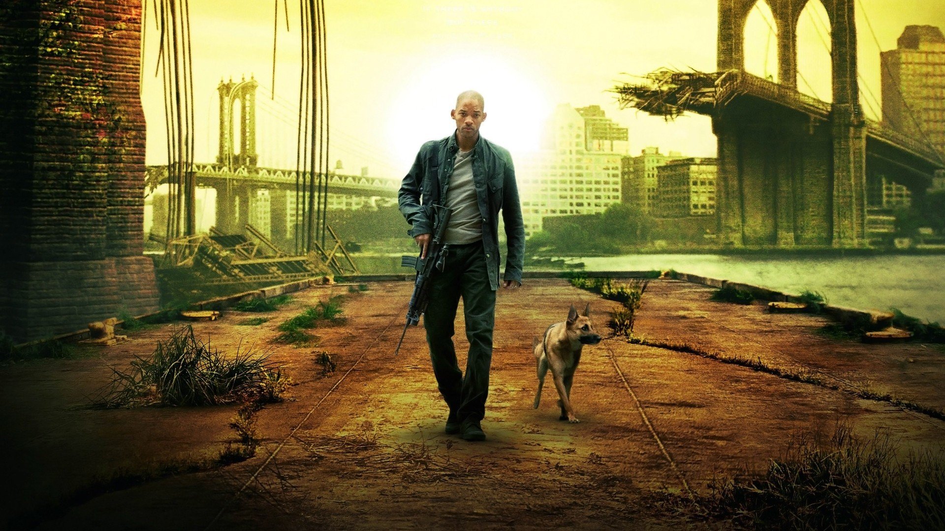 i am legend movies&television men miscellaneous dog