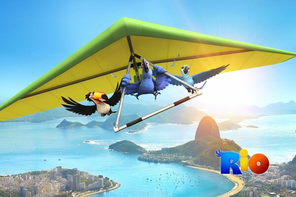 A parrot from Minnesota is flying to Rio