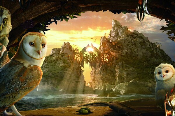 Owls in a cave on the background of a sunset in the mountains