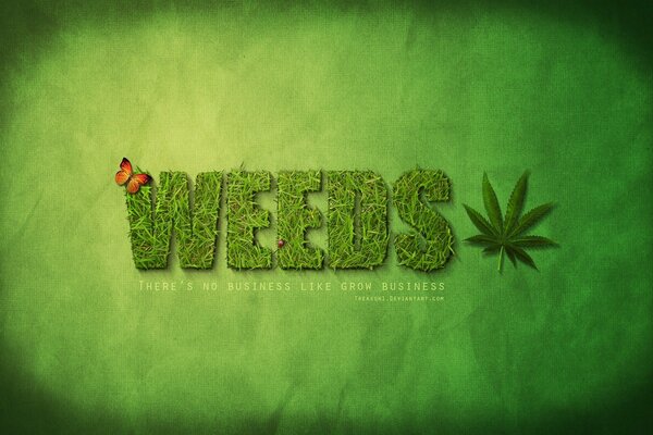 Green background with cannabis