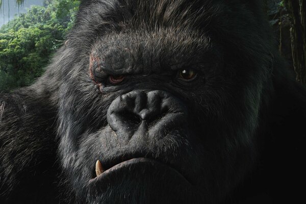 Il film King Kong la scimmia