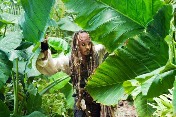 Extracto de piratas del Caribe en la selva