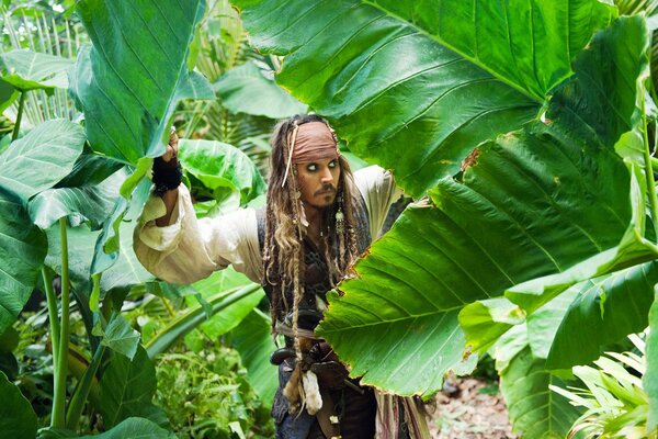 Отрывок из пиратов карибского моря в джунглях