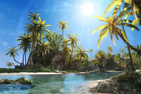 Sun Palm Beach del juego Assassins Creed iv