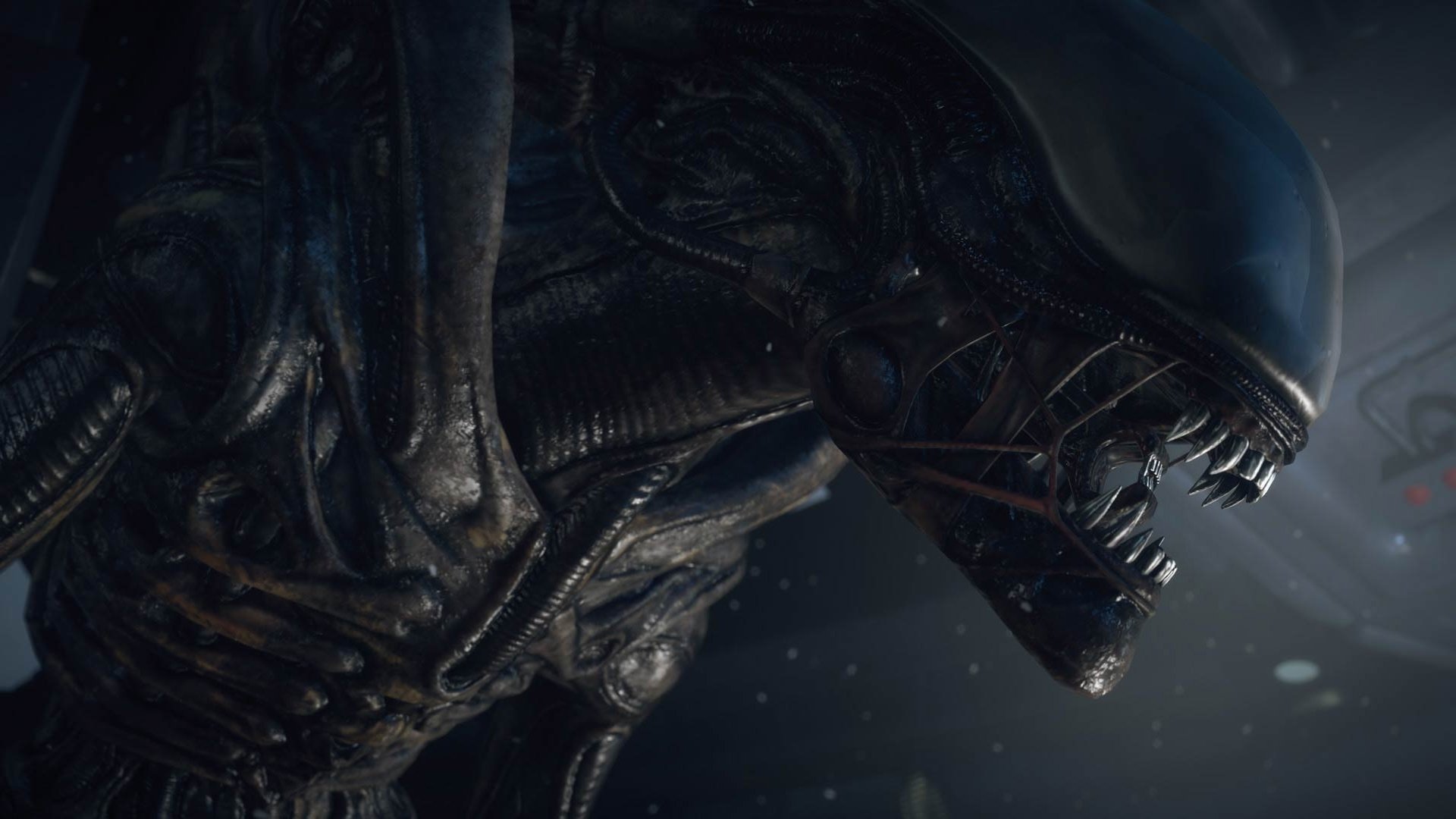 alien: isolement creative assembly sega alien alien alien monstre monstre xenomorphe ps4 xbox un chasseur