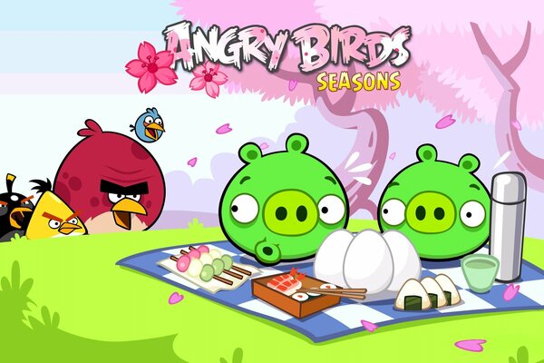 Angry birds seasons- Picknickschweine und wütende Vögel