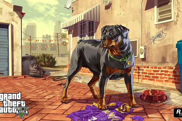 Собака чоп главного героя Франклина из игры ГТА пять арт