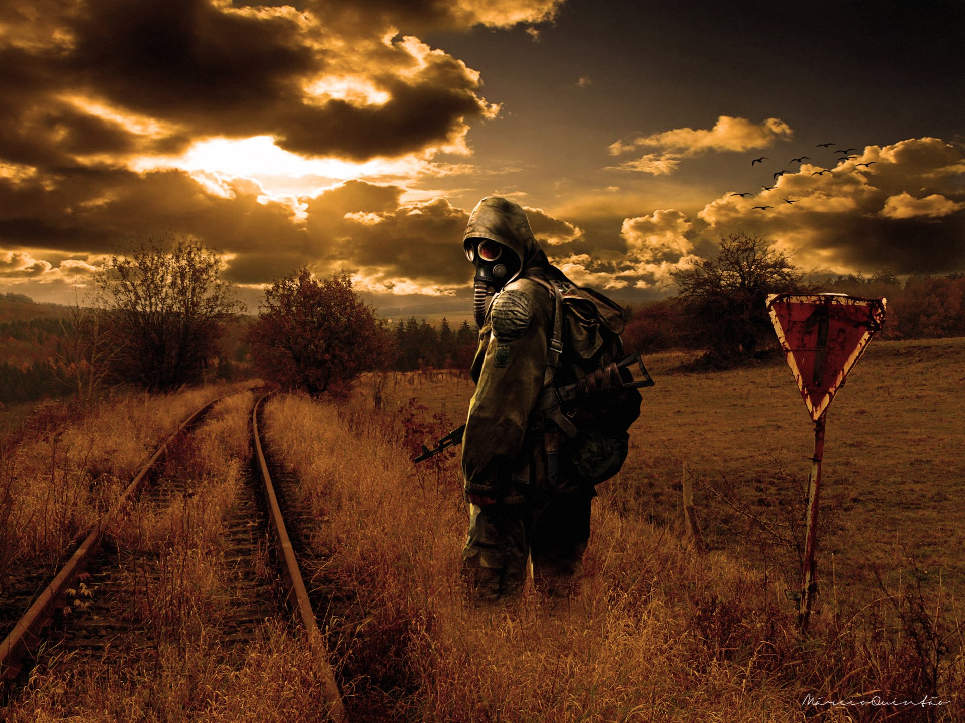 stalker natur sonnenuntergang sonne abend stalker