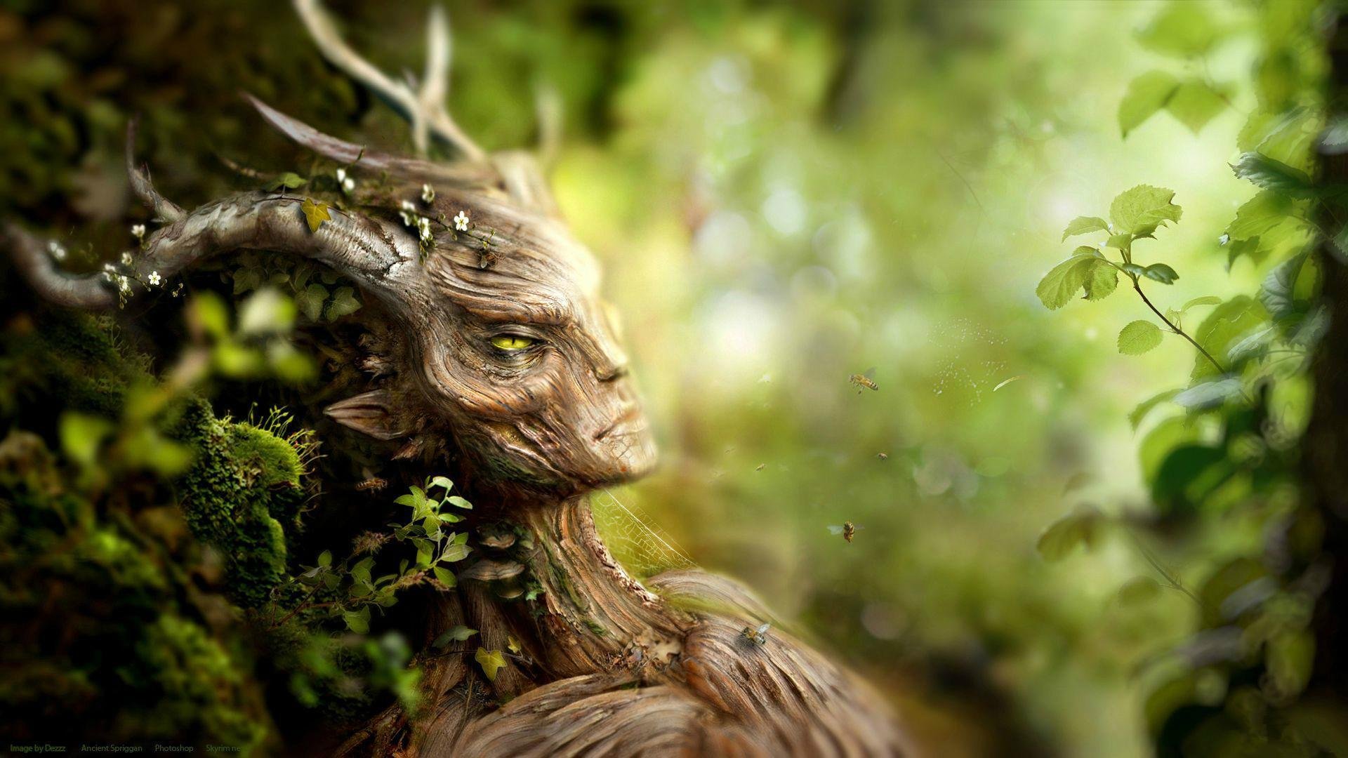 the elder scrolls skyrim bosque criatura abejas corteza musgo plantas flores spriggan