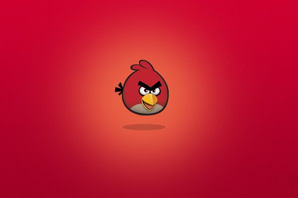 Angry birds minimalism on a red background