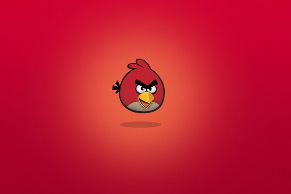 Angry birds minimalizm na czerwonym tle