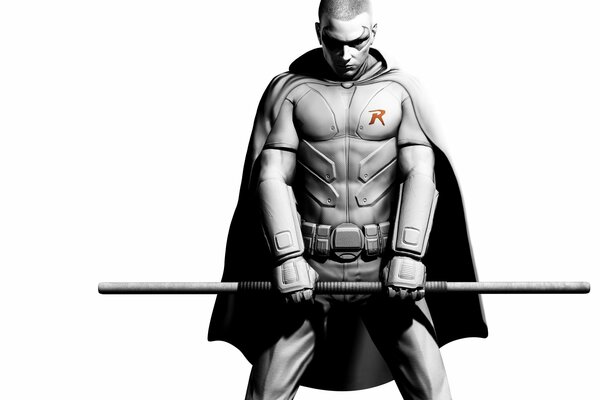 Image du personnage jouable Robin