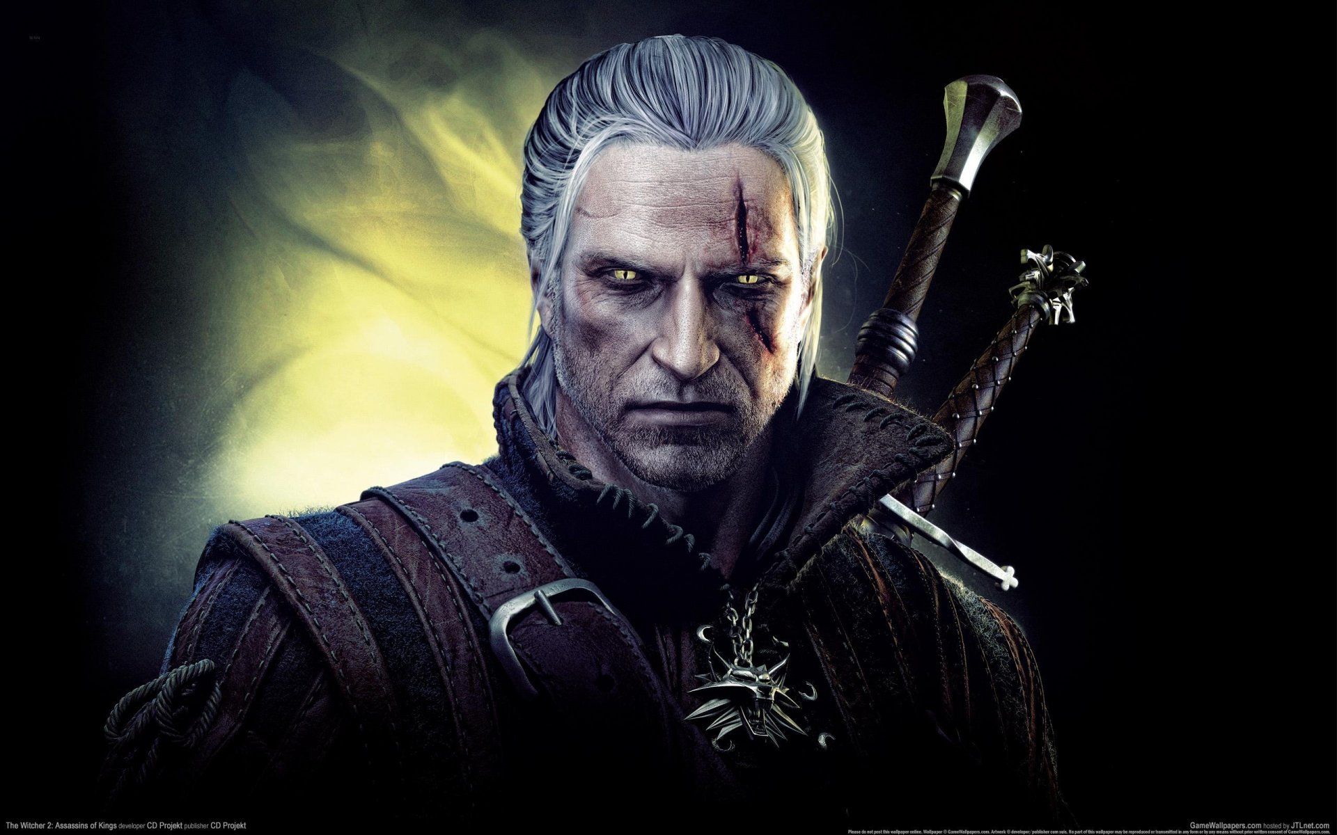 the witcher 2 der mörder der könige der hexer der blick