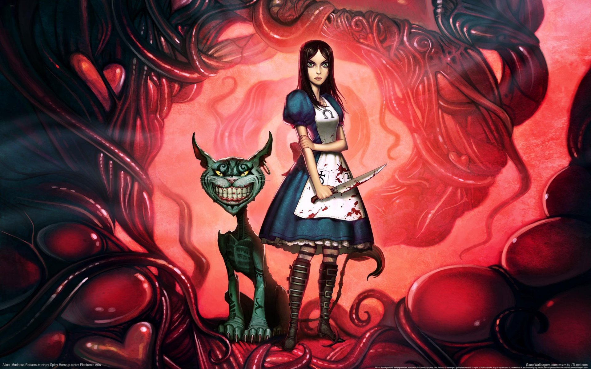 alice madness returns alice kot z cheshire