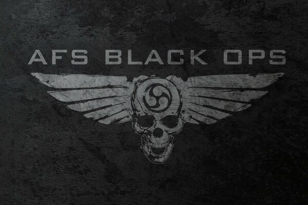 Drawing of a skull with wings from Afs black ops