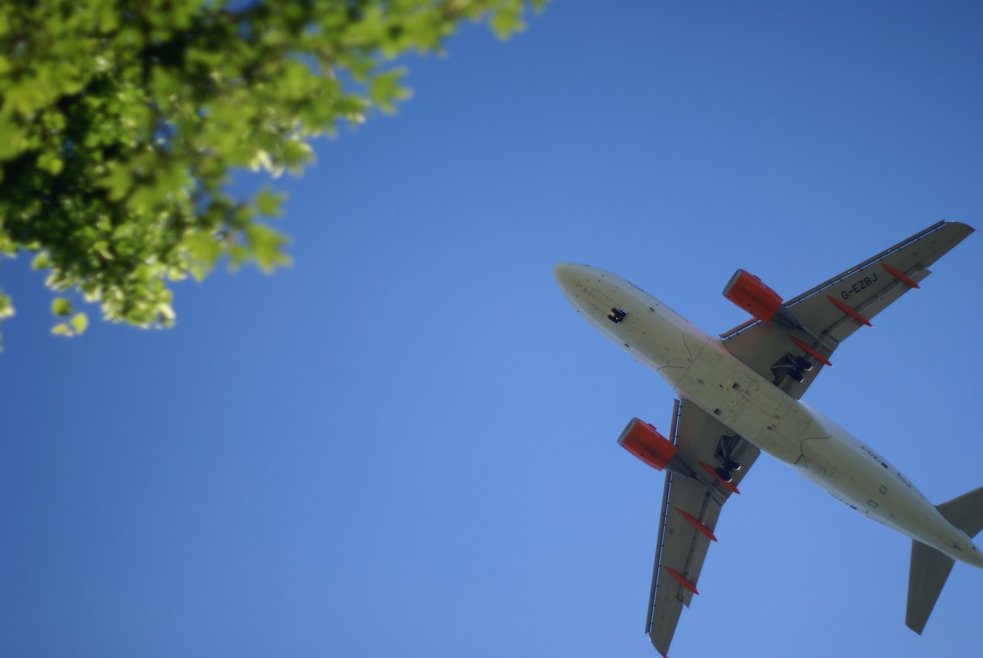 aviación avión cielo árbol desenfoque