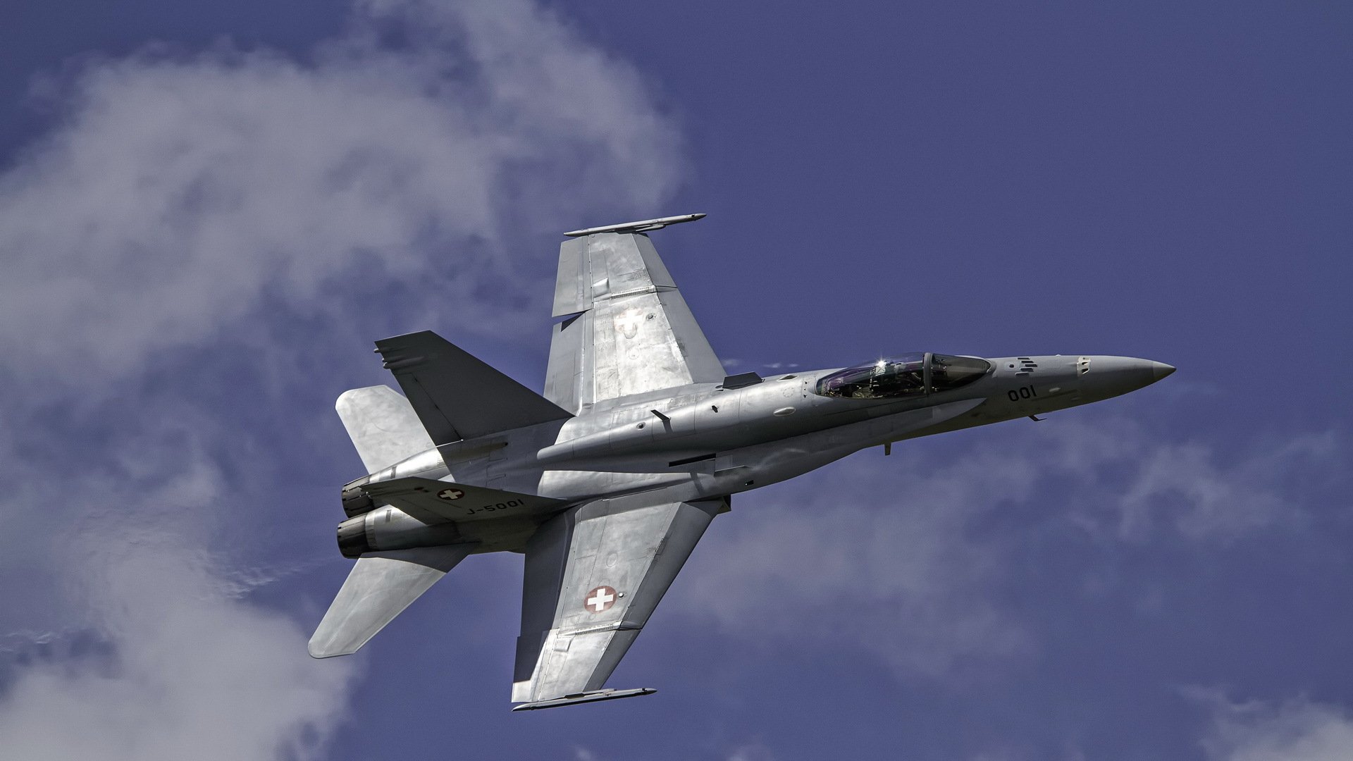 f18 avispón suizo