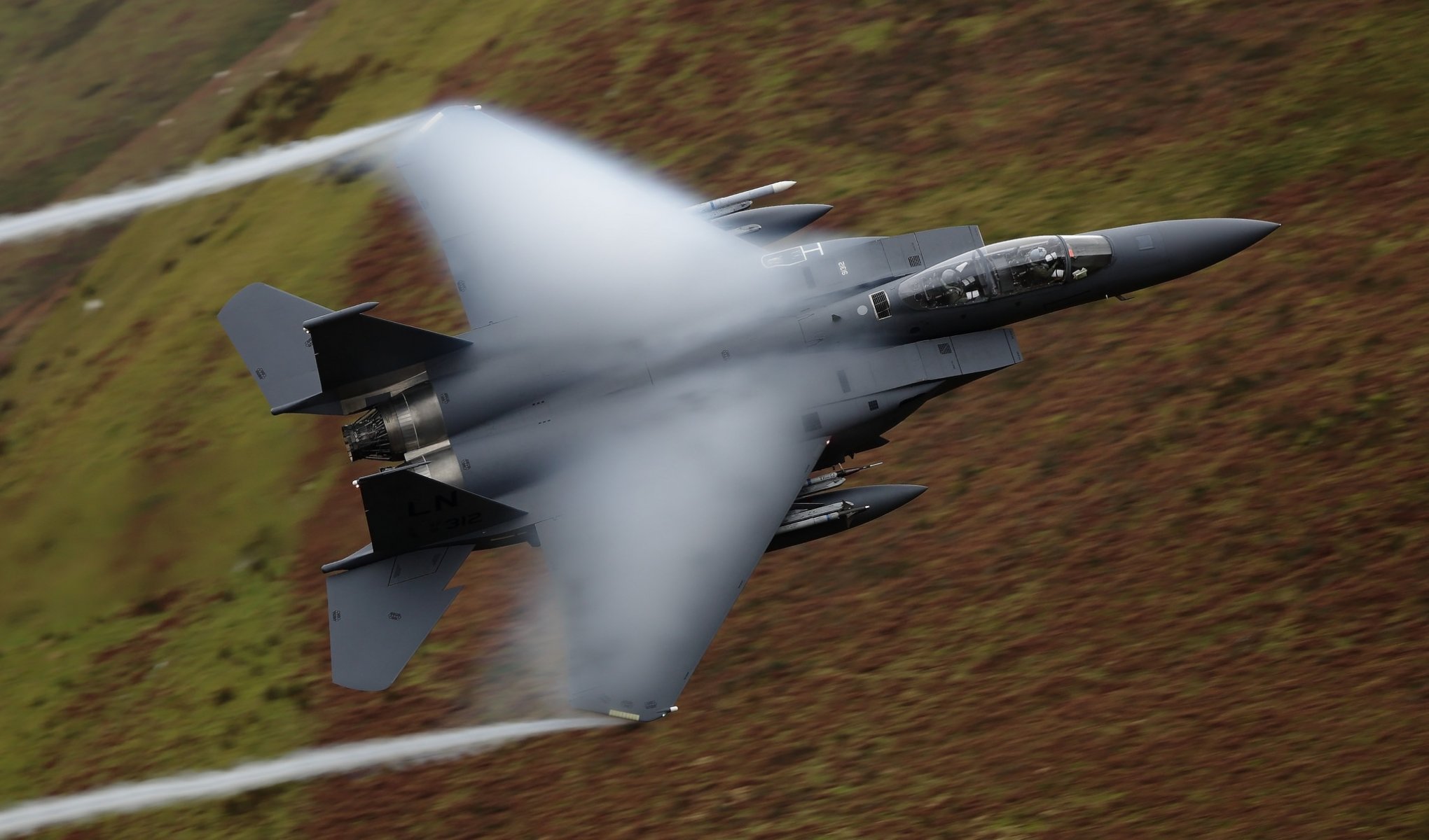 mcdonnell douglas f-15e águila caza pilotos