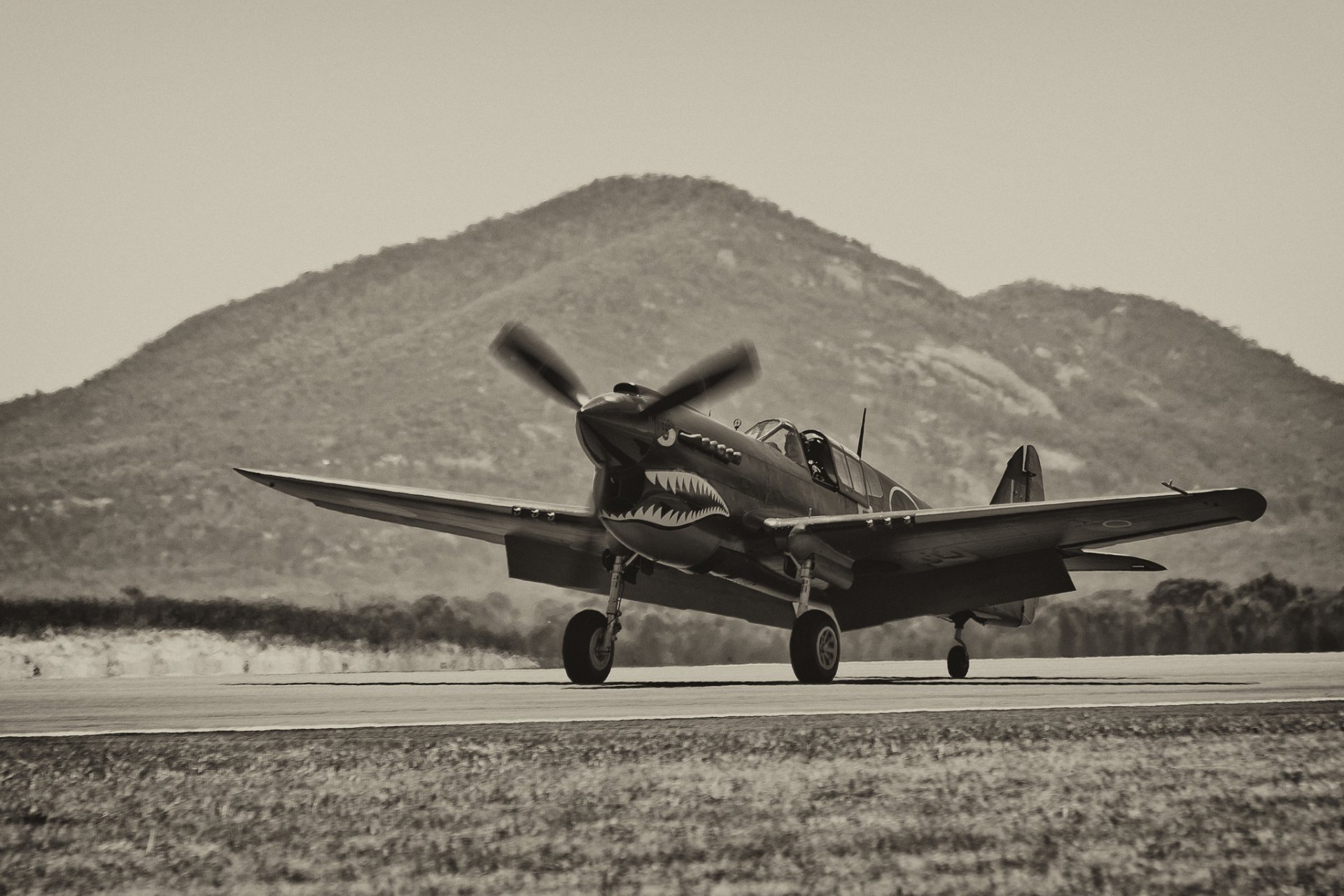 r-40 warhawk combattant aérodrome