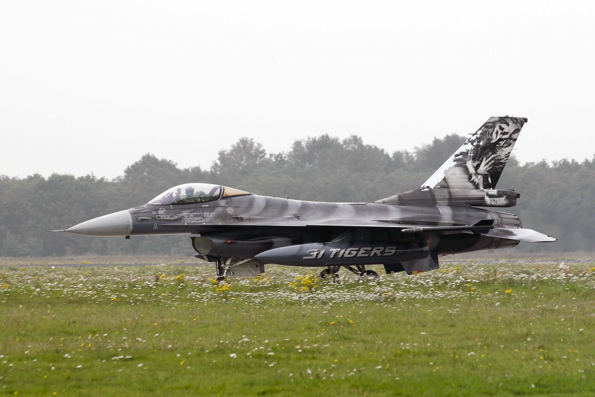 f-16 fighting falcon jeu de combat falcon polyvalent combattant aérodrome