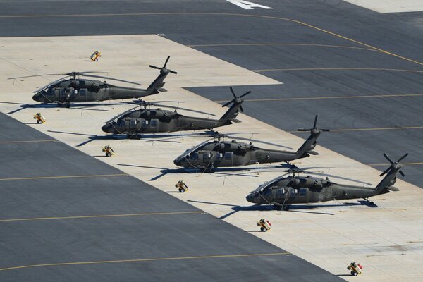 Dragonflies at Black Hawk Airfield