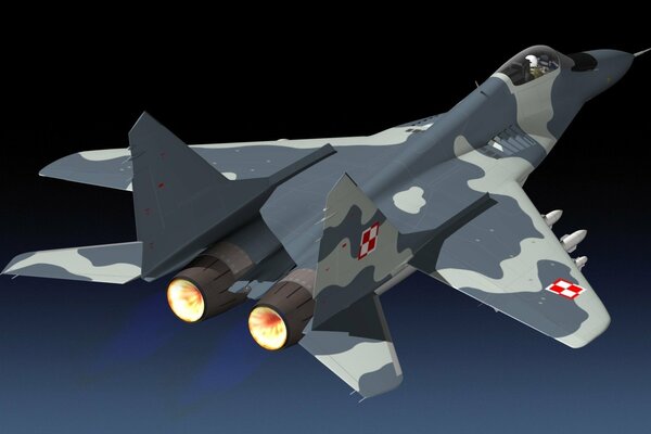 Multi-purpose fighter mig-29 . Pretty boy