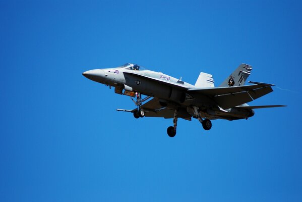 Hornet fighter-bomber flies in the blue sky