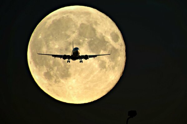 Avion mignon dans le ciel nocturne