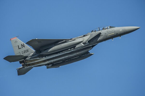 Combattente grigio da combattimento nel cielo