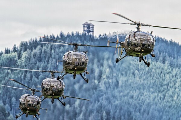 A link of light reconnaissance helicopters