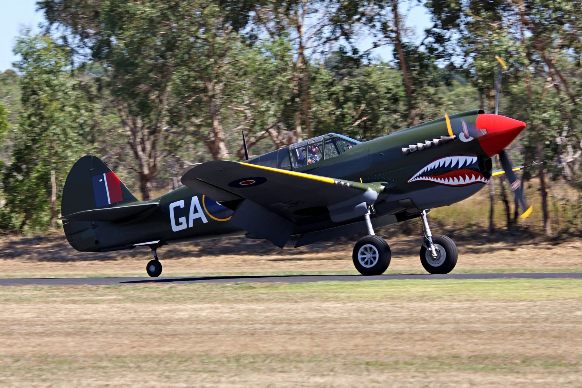 militaire historique club avion curtiss p-40 curtiss américain monomoteur chasseur kitihawk warhawk tomahawk armement mitrailleuses 6x 7mm seconde guerre mondiale royaume-uni bokeh spectacle aérien privé collection rétro