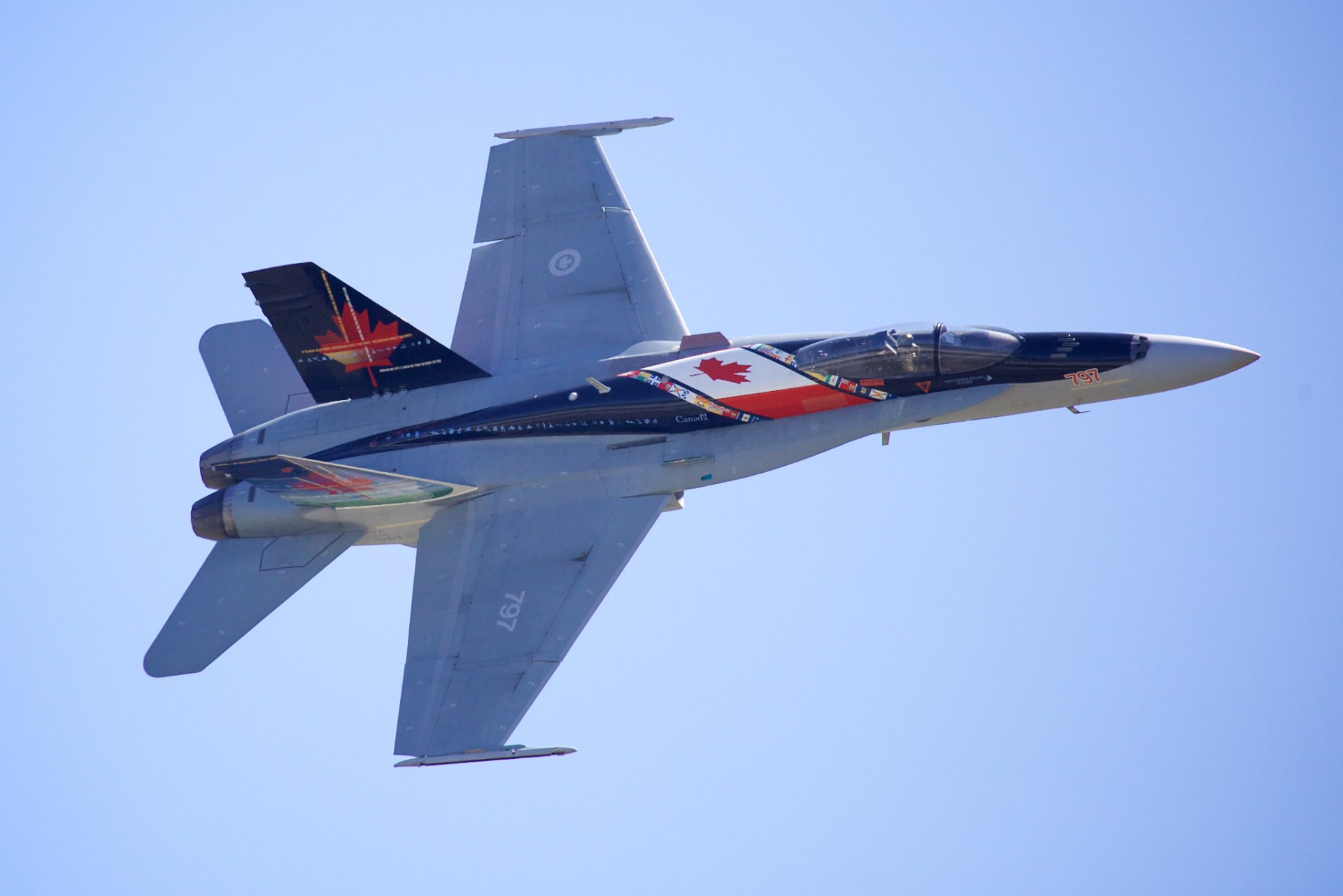 mcdonnell douglas cf-18 hornet multi-purpose fighter