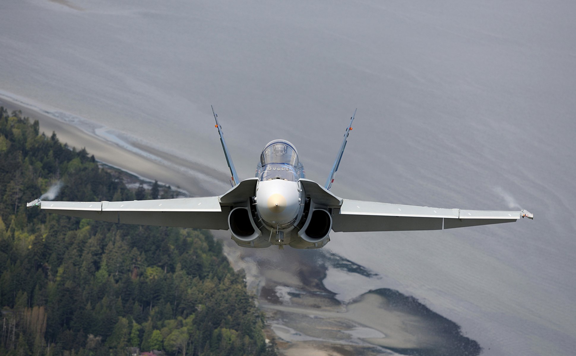 cf-18 frelon polyvalent chasseur cabine