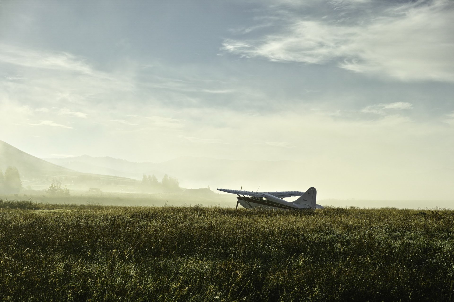 avión campo niebla