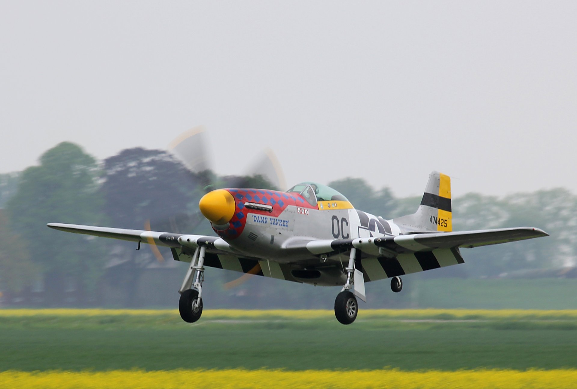 flugplatz flugzeug north american p-51 mustang damn yankee amerikanisch einzel kampfjet langstrecken ww2