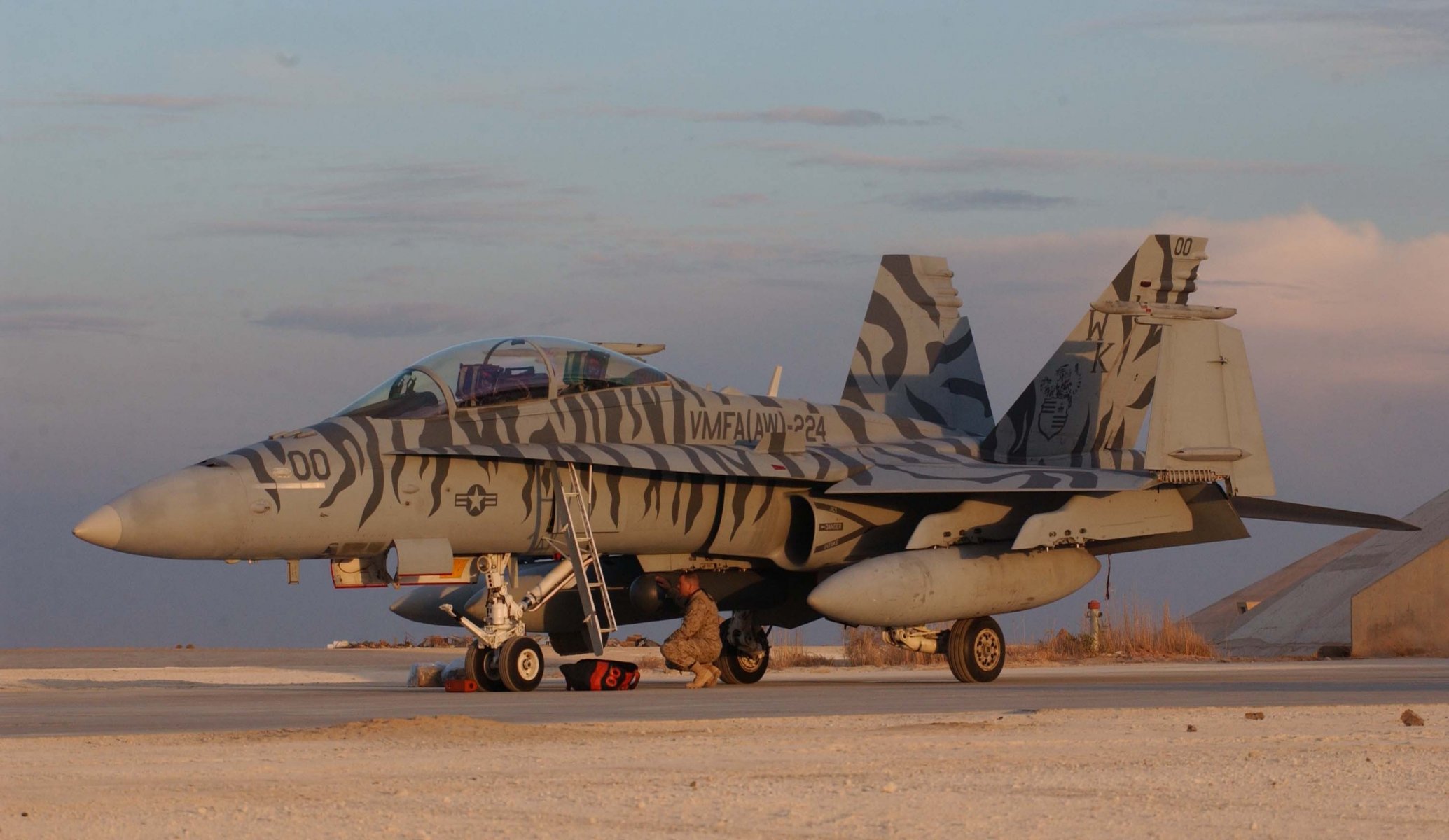 mcdonnell douglas f / a-18d calabrone stati uniti d america base aerea di al assad coperta cacciabombardiere attacco al suolo camuffamento