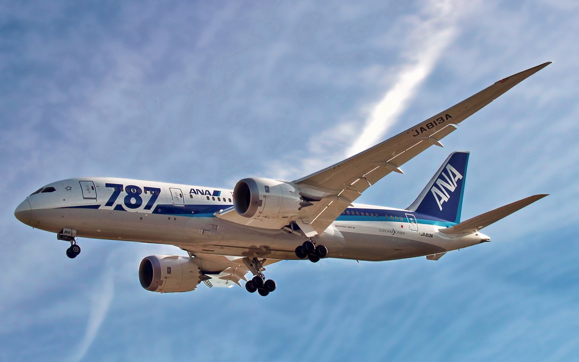 boeing 787 plane aviation sky