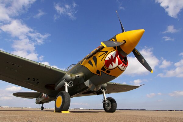 Avión de combate pintado con hélice contra el cielo