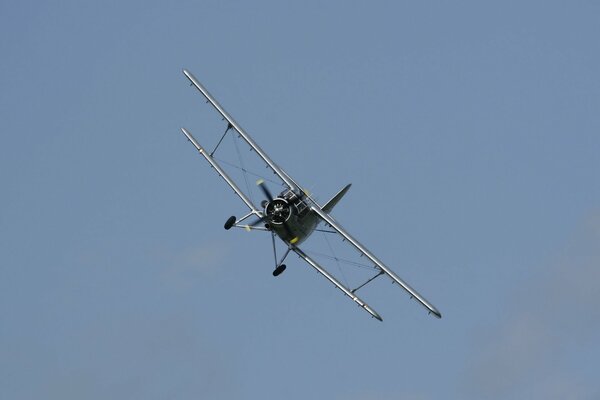 Avion polyvalent planant dans le ciel