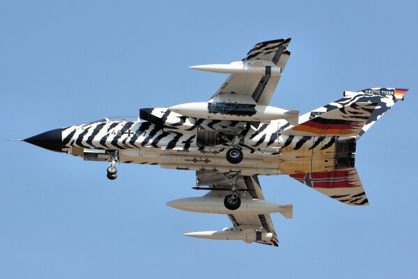 German combat aircraft in the air