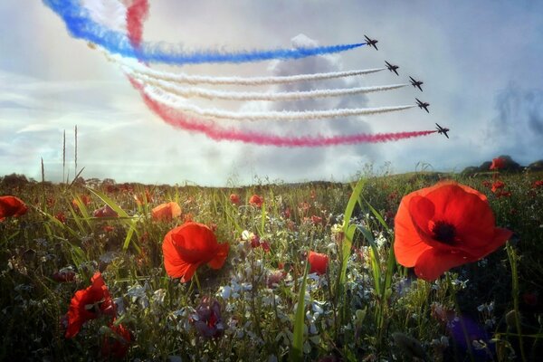 A flight of five planes draws a tricolor in the sky. Poppies from below