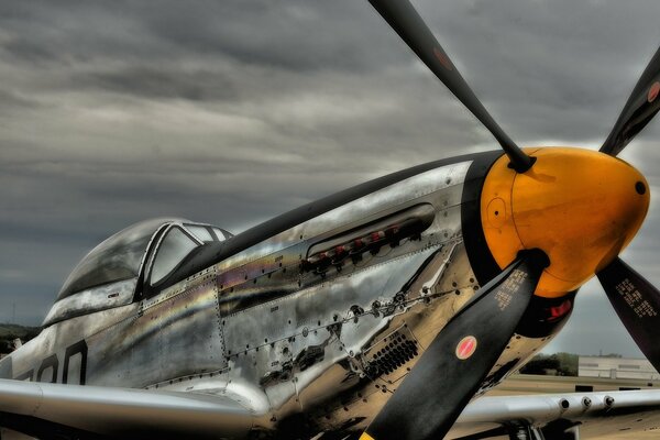 The beaten plane aviation Mustang