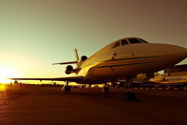 A beautiful plane on the background of a crimson sunset