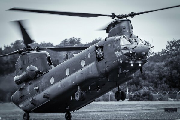 Un hélicoptère militaire de transport Chinook effectue un atterrissage